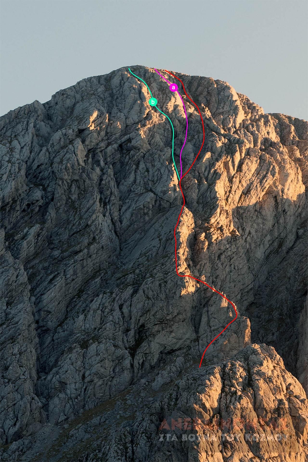 alpina topo