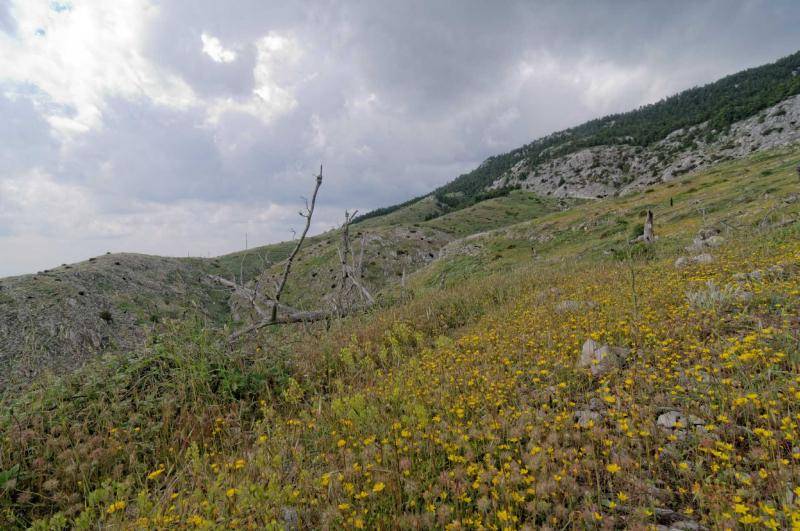 Παλιοχώρι – Σκίπιζα | Πάρνηθα