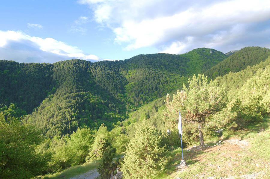 Κορομηλιά – Τραμπάλα – Πατάτα / Όλυμπος